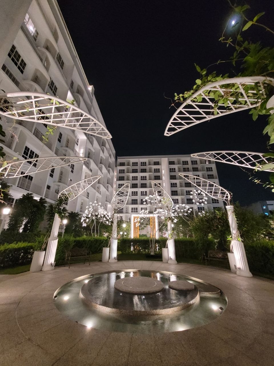 Illuminated butterfly sculpture garden and fountain at night